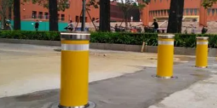 不可或缺的学校草莓视频色情
