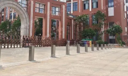学校草莓视频色情是否有必要